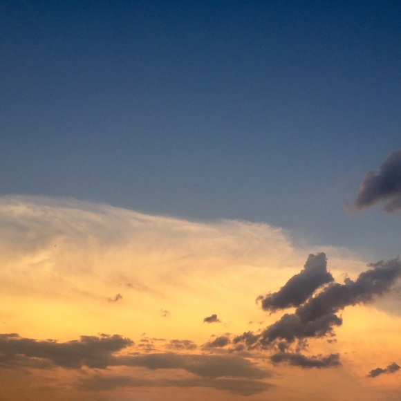 Meet your Posher, Glenda - Picture 2 of 2